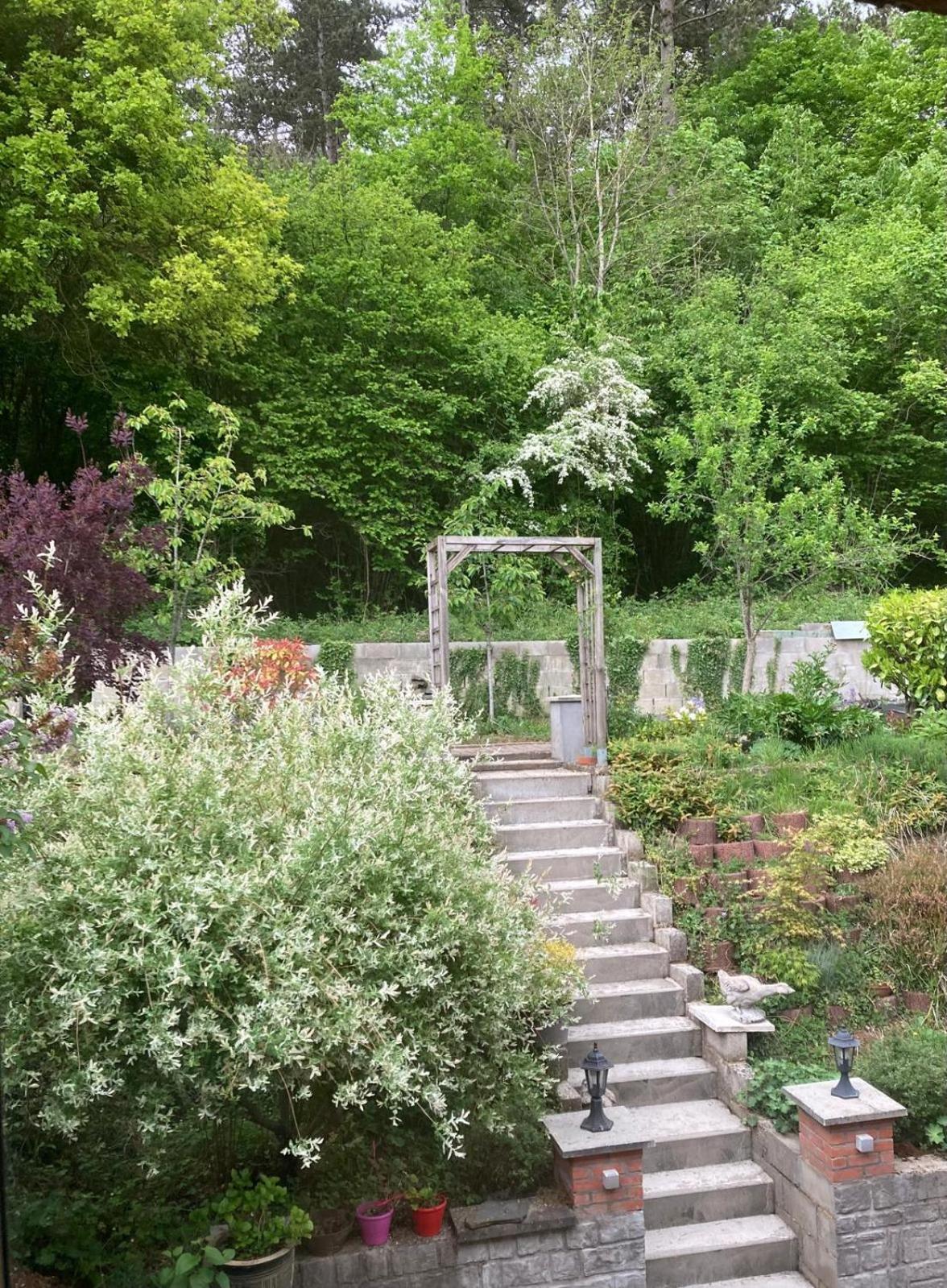 Vie Nature Homestay